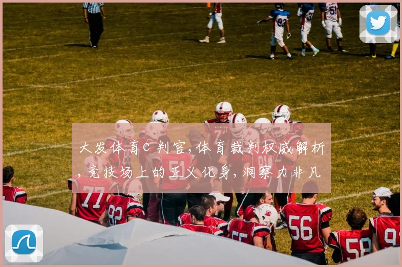 大发体育e 判官,体育裁判权威解析,竞技场上的正义化身,洞察力非凡。