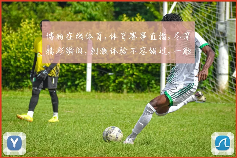 博狗在线体育,体育赛事直播,尽享精彩瞬间,刺激体验不容错过,一触即达