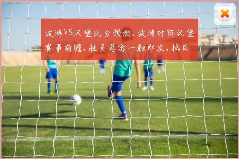 波鸿VS汉堡比分预测,波鸿对阵汉堡赛事前瞻,胜负悬念一触即发,拭目以待