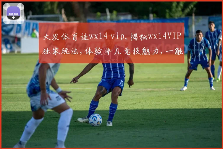 大发体育诖wx14 vip,揭秘wx14VIP独家玩法,体验非凡竞技魅力,一触即达